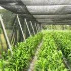 La imagen 3 de la Empresa GEOACE PERÚ Fábrica textil en Callao Perú