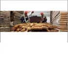 La imagen 1 de la Empresa GKL MADERAS Proveedor de madera en Lima LAM