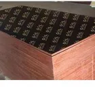 La imagen 4 de la Empresa GKL MADERAS Proveedor de madera en Lima LAM