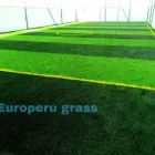 La imagen 1 de la Empresa GRASS SINTÉTICO PERÚ Agencia de alquiler de apartamentos en Lima LAM