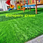 La imagen 2 de la Empresa GRASS SINTÉTICO PERÚ Agencia de alquiler de apartamentos en Lima LAM