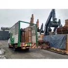 La imagen 3 de la Empresa GRUPO SELVA CENTRAL SAC Servicio de transporte en Lima LAM