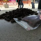 La imagen 4 de la Empresa GRUPO SEÑAS SAC. Chocolatería en Lima LAM