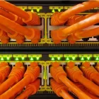 La imagen 1 de la Empresa GRUPO TELEMACO EIRL Servicio de seguridad informática en Arequipa ARE