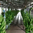 La imagen 1 de la Empresa IN MOBILE E.I.R.L. Agencia Inmobiliaria en Piura PIU