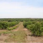 La imagen 2 de la Empresa IN MOBILE E.I.R.L. Agencia Inmobiliaria en Piura PIU