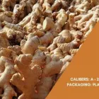 La imagen 4 de la Empresa INKAS FOODS Tienda de comestibles en Lima LAM