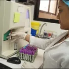 La imagen 3 de la Empresa LABORATORIO CLÍNICO LUCANO Laboratorio de análisis clínicos en Cajamarca CAJ