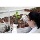 La imagen 3 de la Empresa LABORATORIO DE ANÁLISIS QUIMICOS & SERVICIOS LAQ&S Servicios Agrícolas en Paucarpata ARE