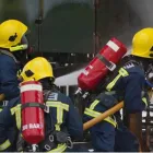 La imagen 1 de la Empresa LOGISEXPORT Proveedor de equipos de seguridad en Lima LAM