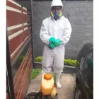 La imagen 3 de la Empresa LUGORA SERVICE Servicio de control de plagas en Lima LAM