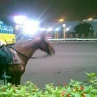 La imagen 3 de la Empresa MC ILUMINACIONES Compañía eléctrica en Metropolitana De Lima Perú