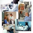 La imagen 8 de la Empresa MORGAN SAFETY HEALTH Consultor en gestión empresarial en Trujillo LAL