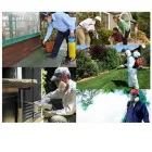 La imagen 2 de la Empresa MST PERU Servicio de control de plagas en Lima LAM