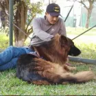 La imagen 5 de la Empresa NEOCAN - K9 - ADIESTRAMIENTO CANINO Tienda para Mascotas en Lima LAM