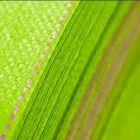 La imagen 3 de la Empresa NOVO EXPORT SRL. Fabricante de ropa en Piura PIU