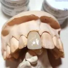 La imagen 1 de la Empresa ODONTO REAL Odontologia en Lima LAM