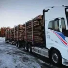 La imagen 5 de la Empresa PABELLONES DEL SUR Servicio de transporte en Arequipa ARE