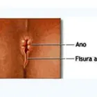 La imagen 1 de la Empresa PALOMINO TORRICO WILFREDO GUILLERMO Gastroenterologia en Arequipa ARE
