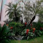 La imagen 4 de la Empresa PERU ART Proveedor de plantas artificiales en Lima LAM