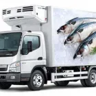 La imagen 1 de la Empresa POLAR LOGÍSTICA EN FRÍO transporte para discapacitados en Lima LAM