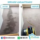 La imagen 3 de la Empresa PROCLEANER Servicio de limpieza de alfombras en Lima LAM