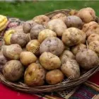 La imagen 6 de la Empresa PRODUCTOS YOMER Tienda de alimentos naturales en Lima LAM