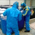 La imagen 3 de la Empresa R MAINTENANCE SCRL Organización medioambiental en Lima LAM