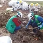 La imagen 1 de la Empresa RESITRANS GROUP S.A.C. Saneamiento Ambiental en Lima LAM