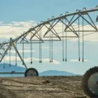 La imagen 1 de la Empresa RIEGO TECNIFICADO PIURA Proveedor de instalaciones de riego en Piura PIU