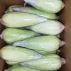 La imagen 1 de la Empresa RJ INVERSIONES INTEGRALES SAC Tienda de alimentos naturales en Lima LAM