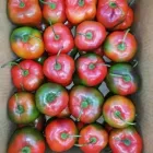 La imagen 2 de la Empresa RJ INVERSIONES INTEGRALES SAC Tienda de alimentos naturales en Lima LAM