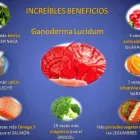 La imagen 1 de la Empresa ROSA DXN SALUD 1 Tienda de alimentos naturales en Lima LAM