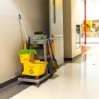 La imagen 1 de la Empresa SERVICIOS DE LIMPIEZA FAUSTO RAMÍREZ Servicio de limpieza viaria en Lima LAM