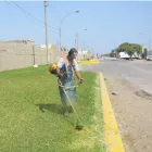 La imagen 2 de la Empresa SERVICIOS GENERALES MARODI E.I.R.L Paisajista en Lima LAM