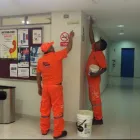 La imagen 3 de la Empresa SERVICIOS GENERALES - PINTURAS RIVERA Tienda de pinturas en Lima LAM