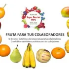 La imagen 1 de la Empresa SUPER BERRIES PERU AND FRUITS Tienda de comestibles en Lima LAM