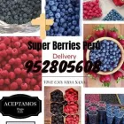 La imagen 7 de la Empresa SUPER BERRIES PERU AND FRUITS Tienda de comestibles en Lima LAM