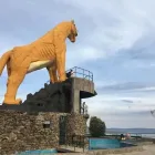 La imagen 10 de la Empresa TRANSPORTE TURÍSTICO CORELAGO Servicio de transporte en Puno PUN