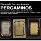 La imagen 1 de la Empresa TROFEOS EXPRESS SAC Tienda de trofeos en Lima LAM