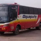 La imagen 2 de la Empresa TURISMO MI TIERRA Servicio de transporte en Puno PUN