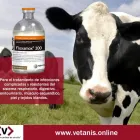 La imagen 2 de la Empresa VETANIS S.A.C. Veterinario en Lima LAM