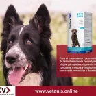 La imagen 3 de la Empresa VETANIS S.A.C. Veterinario en Lima LAM
