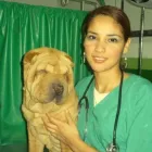 La imagen 1 de la Empresa VETERINARIA 911 Veterinario en Lima LAM