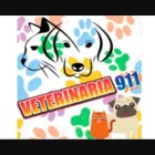 La imagen 4 de la Empresa VETERINARIA 911 Veterinario en Lima LAM