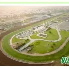 La imagen 2 de la Empresa VILCARANA JARDINES SAC Paisajista en Lima LAM