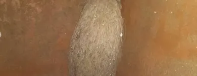 La imagen 25 de la Empresa ANDRÉS GASFITERÍA Servicio de detección de fugas en Lima LAM