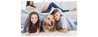 La imagen 1 de la Empresa ANIMAL CLINIC PERÚ Veterinario en Lima LAM