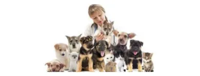 La imagen 2 de la Empresa ANIMAL CLINIC PERÚ Veterinario en Lima LAM