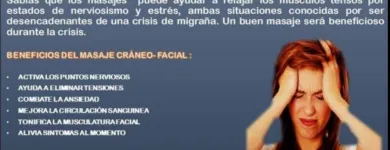 La imagen 5 de la Empresa ANTIESTRES RELAJACIÓN FISICO MENTAL Terapia Ocupacional en Lima LAM